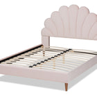 Baxton Studio Odille Modern Glam Light Pink Velvet Upholstered Walnut Brown Finished Wood Queen Size Seashell Shaped Platform Bed