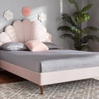 Baxton Studio Odille Modern Glam Light Pink Velvet Upholstered Walnut Brown Finished Wood Queen Size Seashell Shaped Platform Bed