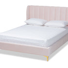 Baxton Studio Saverio Glam and Luxe Light Pink Velvet Fabric Upholstered Queen Size Platform Bed with Gold-Tone Legs