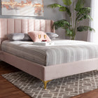 Baxton Studio Saverio Glam and Luxe Light Pink Velvet Fabric Upholstered Queen Size Platform Bed with Gold-Tone Legs