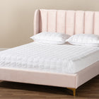 Baxton Studio Saverio Glam and Luxe Light Pink Velvet Fabric Upholstered Queen Size Platform Bed with Gold-Tone Legs
