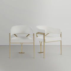 Dining Chairs
