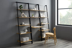 Shelves &amp; Cases