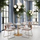 Zuo Meadow Dining Chair (Set of 4) Cloud White