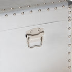 Baxton Studio Serge French Industrial Silver Metal Storage Trunk