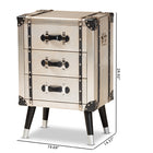 Baxton Studio Dilan Vintage Industrial Antique Silver Finished Metal Trunk Inspired 3-Drawer End Table