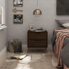 Manhattan Comfort Rockefeller Mid-Century Modern 20" Nightstand in Chestnut Brown (2-Drawer)