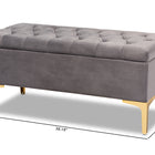 Baxton Studio Valere Glam and Luxe Grey Velvet Fabric Upholstered Gold Finished Button Tufted Storage Ottoman