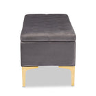 Baxton Studio Valere Glam and Luxe Grey Velvet Fabric Upholstered Gold Finished Button Tufted Storage Ottoman