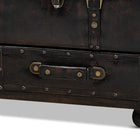 Baxton Studio Callum Modern Transitional Distressed Dark Brown Faux Leather Upholstered 2-Drawer Storage Trunk Ottoman
