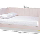 Baxton Studio Oksana Modern Contemporary Glam and Luxe Light Pink Velvet Fabric Upholstered and Gold Finished Full Size Daybed