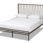 Baxton Studio Jeanette Modern and Contemporary Black Bronze Finished Metal Queen Size Platform Bed