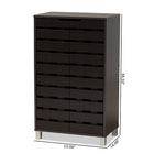 Baxton Studio Ernest Modern and Contemporary Dark Brown Finished Wood 2-Door Shoe Storage Cabinet