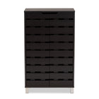 Baxton Studio Ernest Modern and Contemporary Dark Brown Finished Wood 2-Door Shoe Storage Cabinet
