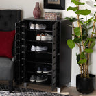Baxton Studio Ernest Modern and Contemporary Dark Brown Finished Wood 2-Door Shoe Storage Cabinet