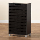 Baxton Studio Ernest Modern and Contemporary Dark Brown Finished Wood 2-Door Shoe Storage Cabinet