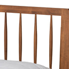 Baxton Studio Emiko Modern and Contemporary Walnut Brown Finished Wood Queen Size Platform Bed