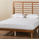 Baxton Studio Petra Mid-Century Modern Ash Walnut Finished Wood Queen Size Platform Bed