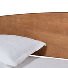 Baxton Studio Veles Mid-Century Modern Ash Walnut Finished Wood Full Size Daybed with Trundle