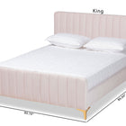 Baxton Studio Nami Modern Contemporary Glam and Luxe Light Pink Velvet Fabric Upholstered and Gold Finished Queen Size Platform Bed