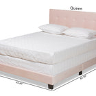 Baxton Studio Caprice Modern and Contemporary Glam Light Pink Velvet Fabric Upholstered Queen Size Panel Bed