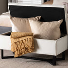 Baxton Studio Esther Modern and Contemporary Beige Velvet Fabric Upholstered and Dark Brown Finished Wood Storage Ottoman