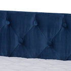 Baxton Studio Raphael Modern and Contemporary Navy Blue Velvet Fabric Upholstered Queen Size Daybed with Trundle