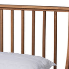 Baxton Studio Abel Classic and Traditional Transitional Walnut Brown Finished Wood Queen Size Platform Bed