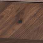 Baxton Studio Hartman Mid-Century Modern Walnut Brown Finished Wood Coffee Table