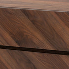 Baxton Studio Hartman Mid-Century Modern Walnut Brown Finished Wood Shoe Cabinet