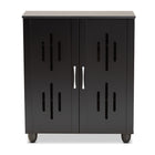 Baxton Studio Renley Modern and Contemporary Black Finished Wood 2-Door Shoe Storage Cabinet