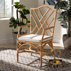 bali & pari Delta Modern and Contemporary Natural Finished Rattan Dining Chair