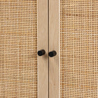 Baxton Studio Ardon Bohemian Light Brown Finished Wood and Black Metal 2-Door Storage Cabinet with Natural Rattan