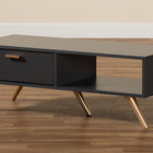 Baxton Studio Kelson Modern and Contemporary Dark Grey and Gold Finished Wood Coffee Table