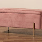 Baxton Studio Rockwell Contemporary Glam and Luxe Blush Pink Velvet Fabric Upholstered and Gold Finished Metal Storage Bench