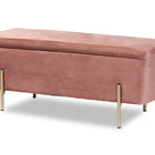 Baxton Studio Rockwell Contemporary Glam and Luxe Blush Pink Velvet Fabric Upholstered and Gold Finished Metal Storage Bench
