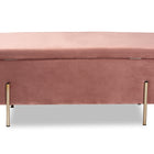 Baxton Studio Rockwell Contemporary Glam and Luxe Blush Pink Velvet Fabric Upholstered and Gold Finished Metal Storage Bench