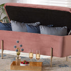 Baxton Studio Rockwell Contemporary Glam and Luxe Blush Pink Velvet Fabric Upholstered and Gold Finished Metal Storage Bench