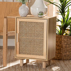 Baxton Studio Maclean Mid-Century Modern Rattan and Natural Brown Finished Wood 1-Door End Table