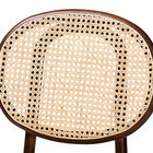 Baxton Studio Garold Mid-Century Modern Brown Woven Rattan and Walnut Brown Wood 2-Piece Cane Dining Chair Set