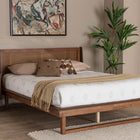 Baxton Studio Aveena Mid-Century Modern Walnut Brown Finished Wood Queen Size Platform Bed