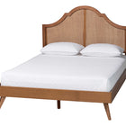 Baxton Studio Alecia Mid-Century Ash Walnut Wood Queen Size Platform Bed
