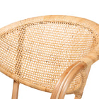 bali & pari Varick Modern Bohemian Natural Brown Finished Rattan Dining Chair
