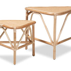 bali & pari Jayden Modern Bohemian Natural Brown Finished Rattan 2-Piece End Table Set
