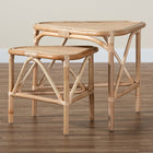 bali & pari Jayden Modern Bohemian Natural Brown Finished Rattan 2-Piece End Table Set
