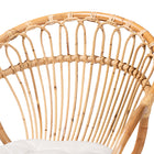 bali & pari Benicia Modern Bohemian Natural Brown Rattan Dining Chair