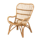 bali & pari Earvin Modern Bohemian Natural Brown Rattan Armchair