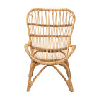 bali & pari Earvin Modern Bohemian Natural Brown Rattan Armchair