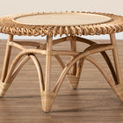 bali & pari Elani Modern Bohemian Natural Rattan Coffee Table