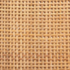 bali & pari Lesia Modern Bohemian Natural Brown Rattan and Walnut Brown Mahogany Wood Dining Chair